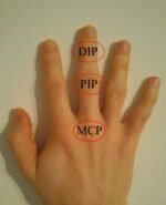 Trīs punktu pirksta ortoze (DIP+PIP), caurspīdīga - Image 3